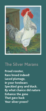 The Silver Marans. Oil painting and poem by Peter Mark Butler