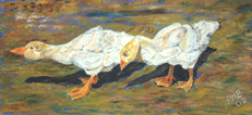 Paintings of animals, birds. Domestic Fowl. Wild Fowl